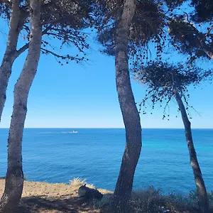 A 50m Du Port De Carry-cote Bleue Carry-le-Rouet
